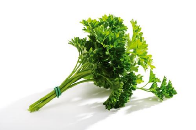 欧芹：迷人的香草_百科TA说