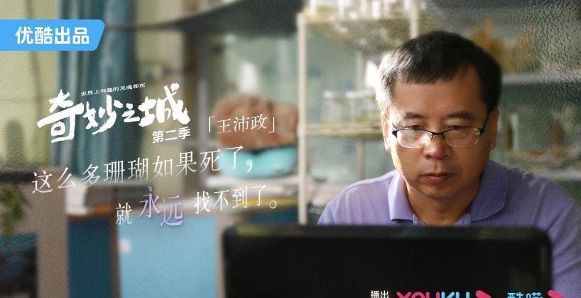 奇妙之城第二季