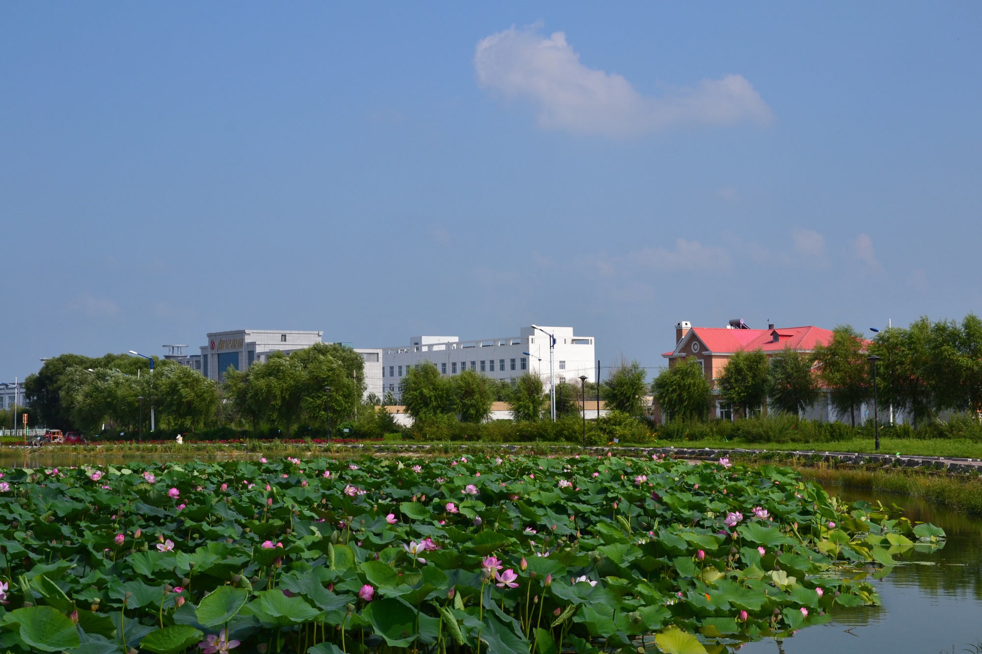 黑龙江省齐齐哈尔市克山县