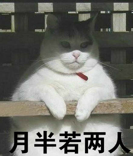 胖若两人