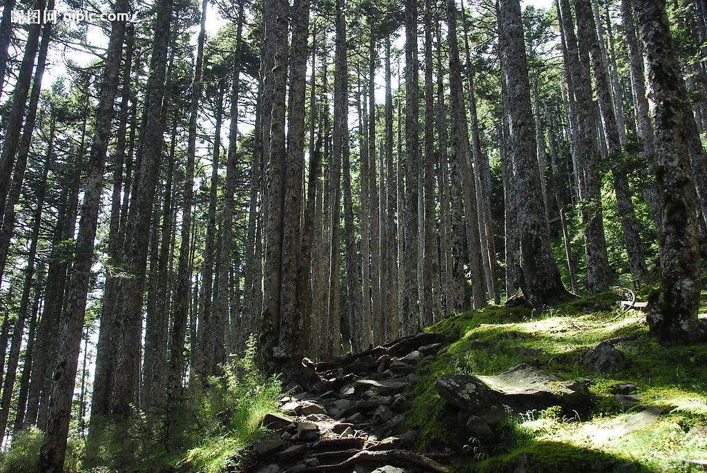 又称黑森林.黑林山南北绵延160千米,东西宽15-40千米. /p>