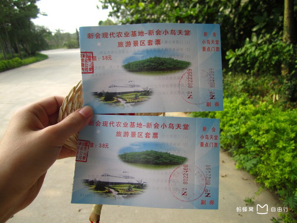  p data-id="gnvgrn1053">"小鸟天堂"又名"鸟的天堂",是一个以独特的