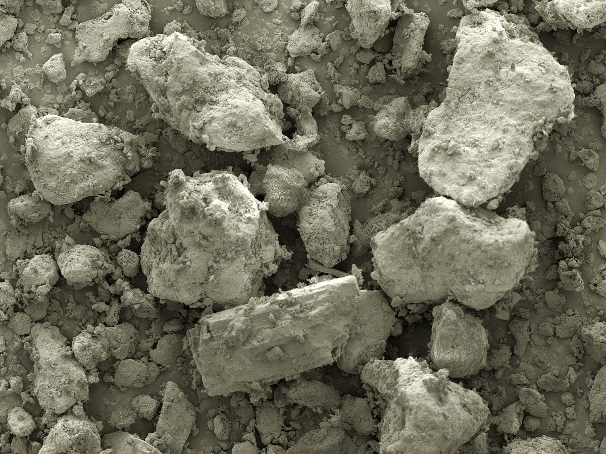 暖温带草原和干草原植被下,表层具有明显的腐殖质积累和土体中具有 a