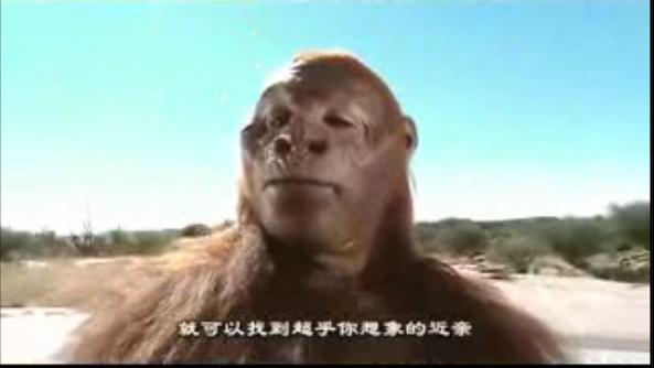 与远古人同行walkingwithcavemen(2003)