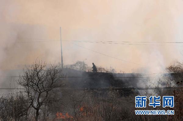 4·1辽宁大连山火