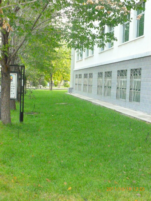  p>呼图壁县第一中学创建于1956年9月,1979年经自治区教育厅批准确定