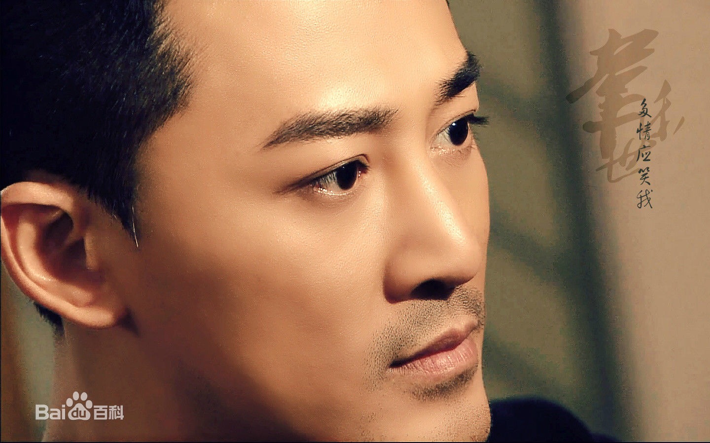  p>林峰,1979年12月8日生于福建厦门,中国香港影视男演员,流行乐歌手.