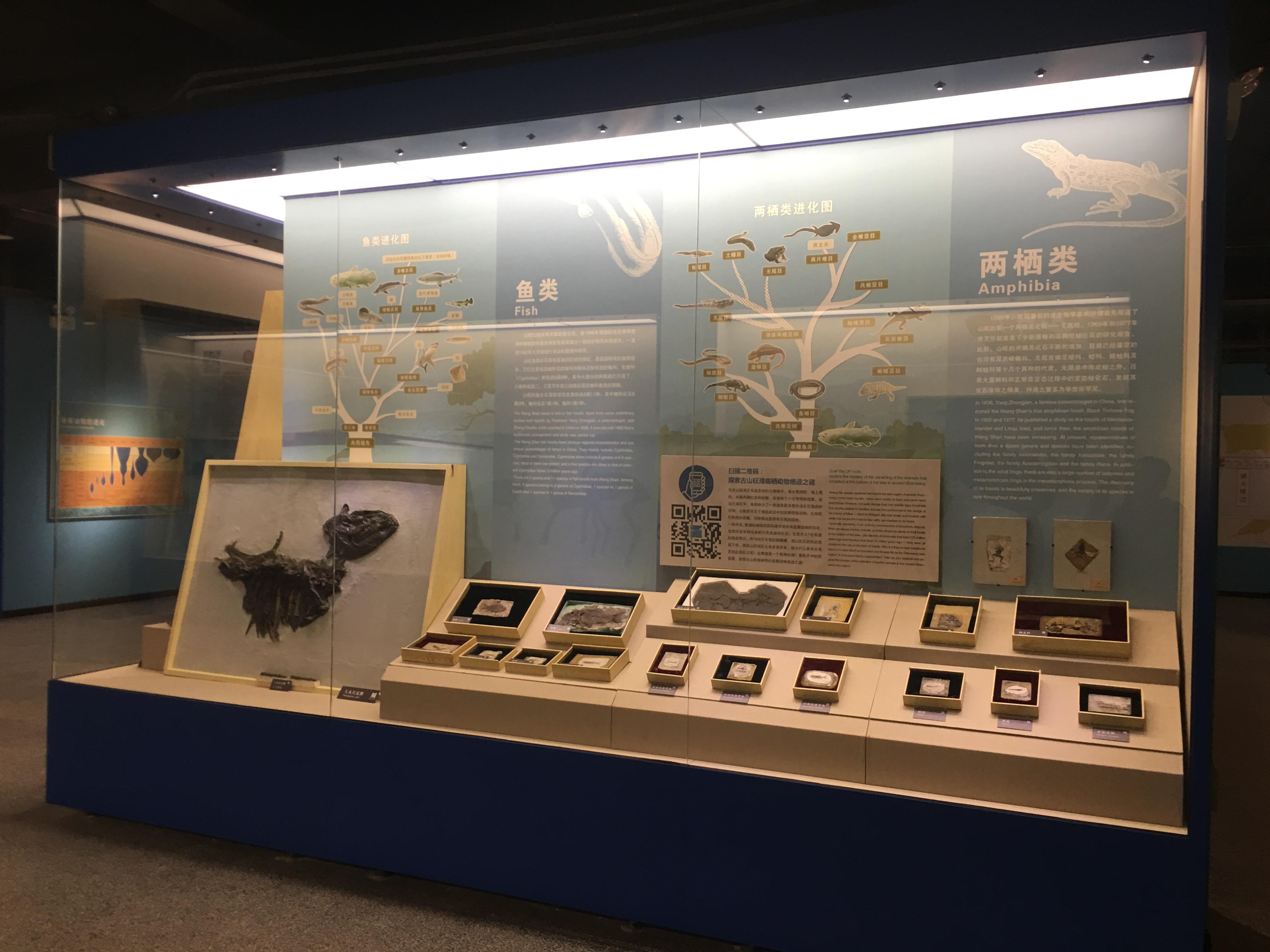 临朐山旺古生物化石博物馆