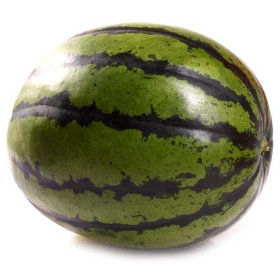  p> b>作物种类 /b>:西瓜 /p> p> b>审定编号 /b>:桂审瓜2016011号 /p