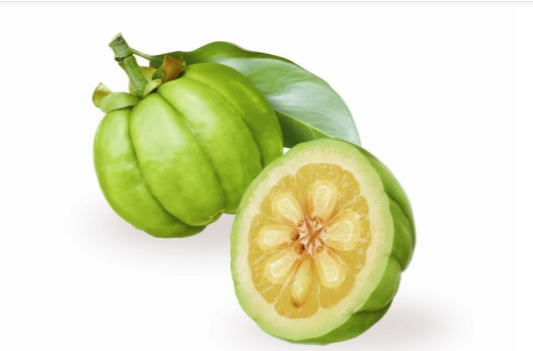 garcinia cambogia