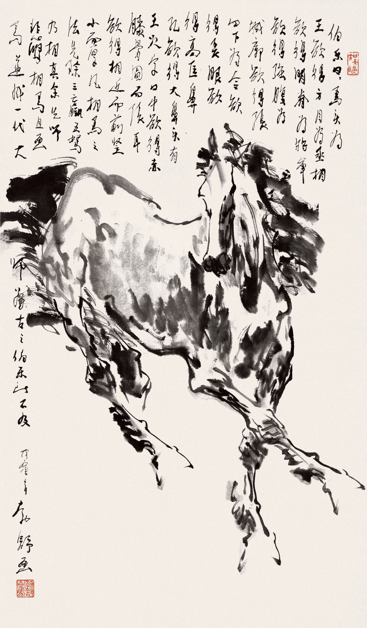刘勃舒