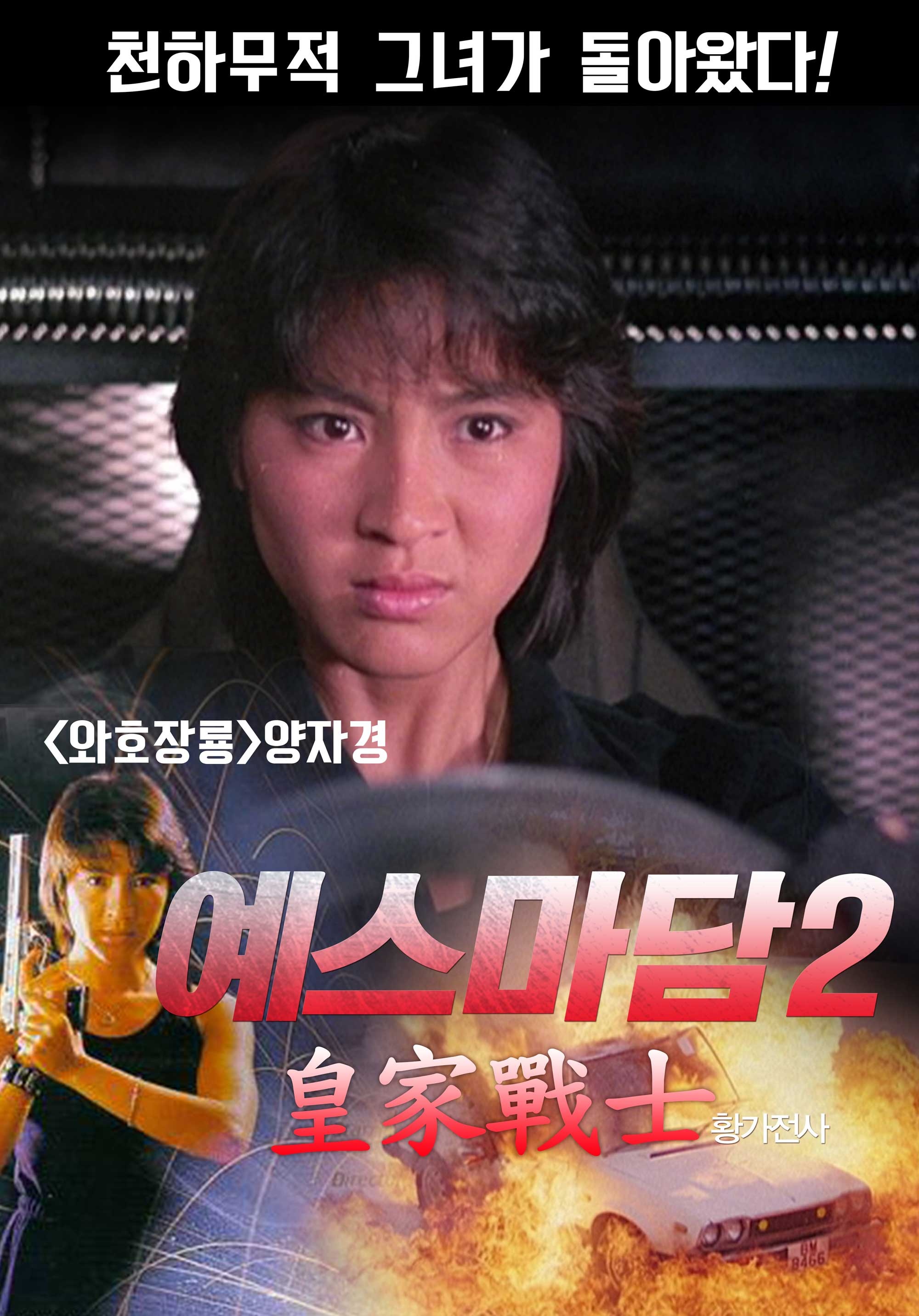 皇家战士wonggajinsi(1986)