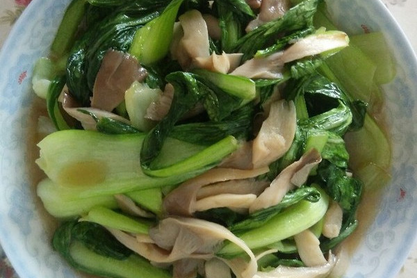 平菇炒白菜