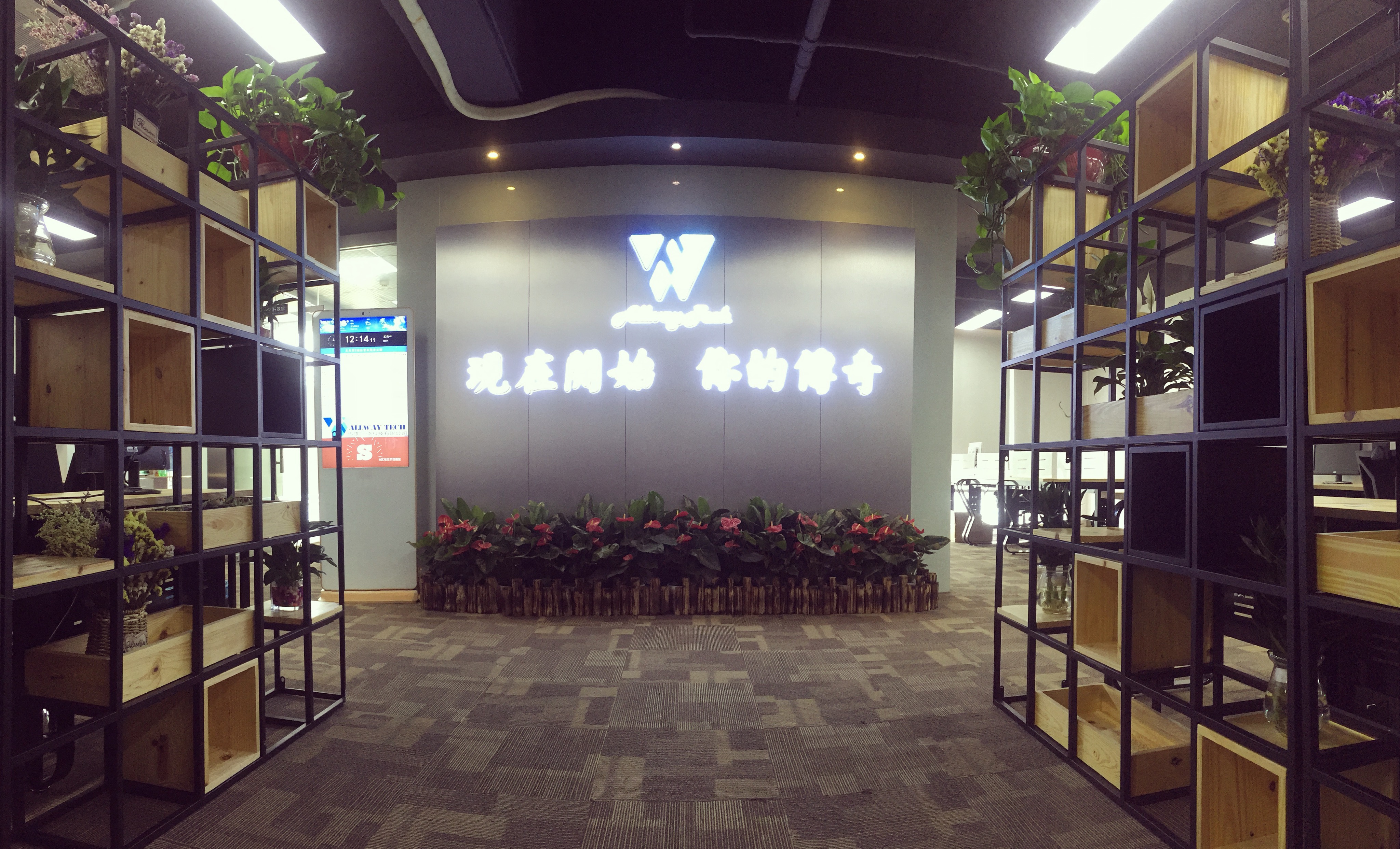 深圳婚庆公司薇欣乐云seo 全网资源