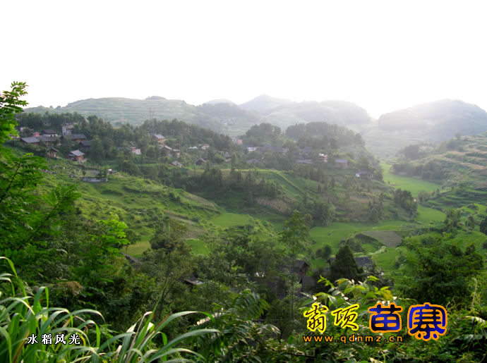  p>翁项苗寨位于凯里市旁海镇,距凯里市有约12公里(旁海镇与凯里市的1