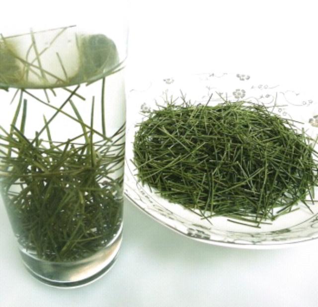 松针茶