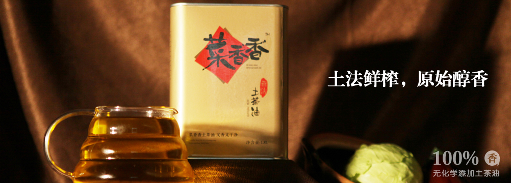 油茶树如何育苗视频