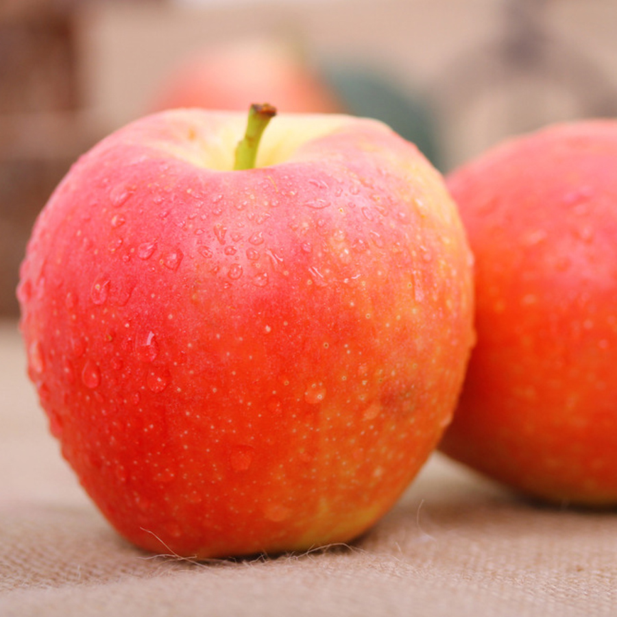  p>乔纳金苹果原产 a target="_blank" href="/item/日本/111617"