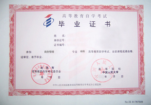 大自考