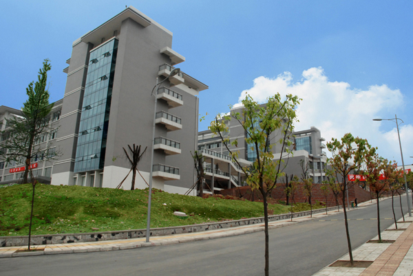  p>眉山职业技术学院是由 a target="_blank" href="/item/眉山市人民