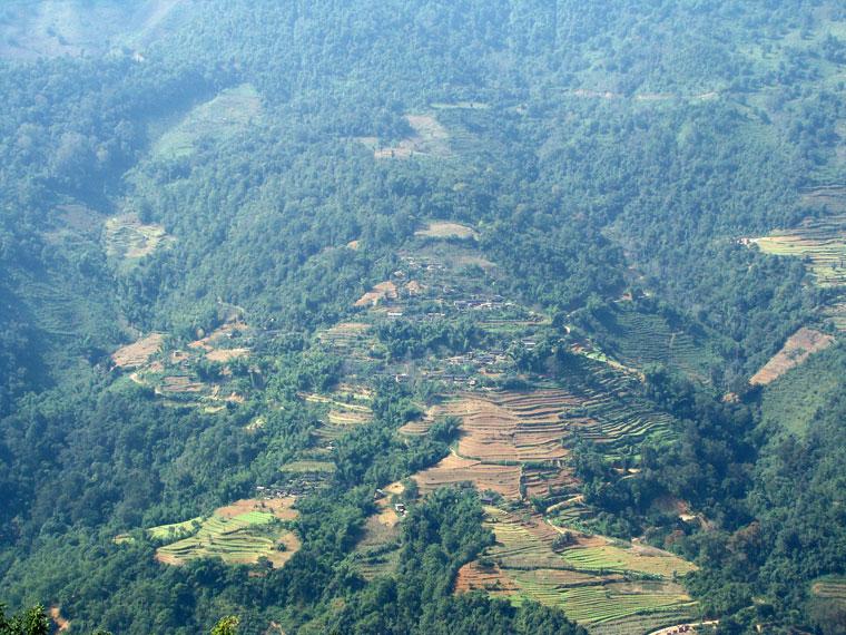 target="_blank" href="/item/镇沅彝族哈尼族拉祜族自治县">镇沅彝族