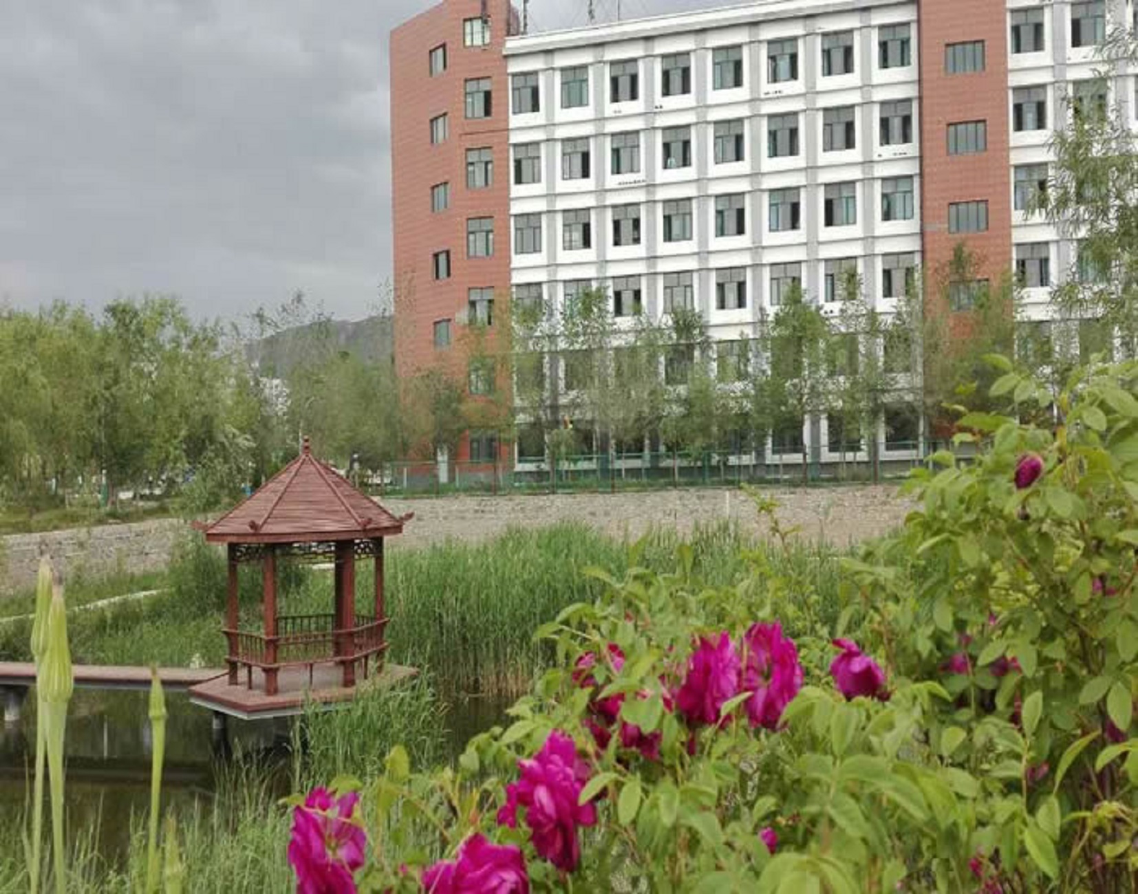 新疆天山职业学院