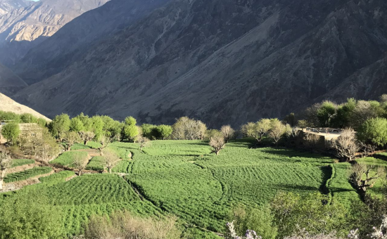  p>下林卡乡,隶属西藏自治区昌都市左贡县,地处左贡县西南部.