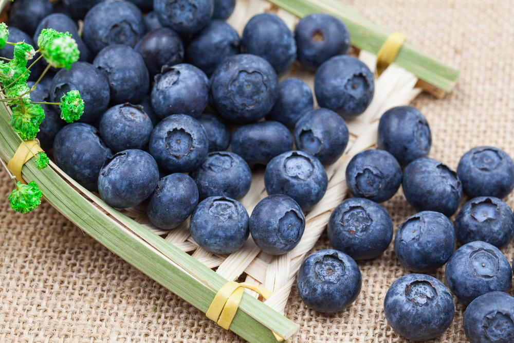  p>蓝莓,又名笃斯,黑豆树(大兴安岭), a target="_blank" href="/item