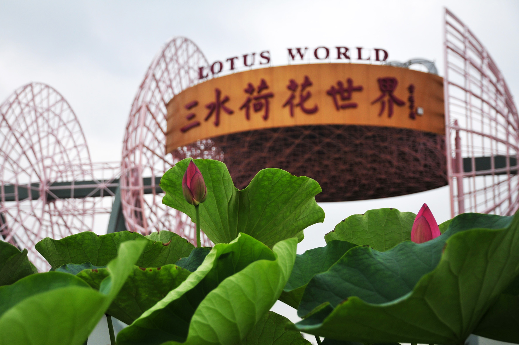  p>佛山三水荷花世界是世界上规模最大,品种资源最丰富,集建筑, 雕塑