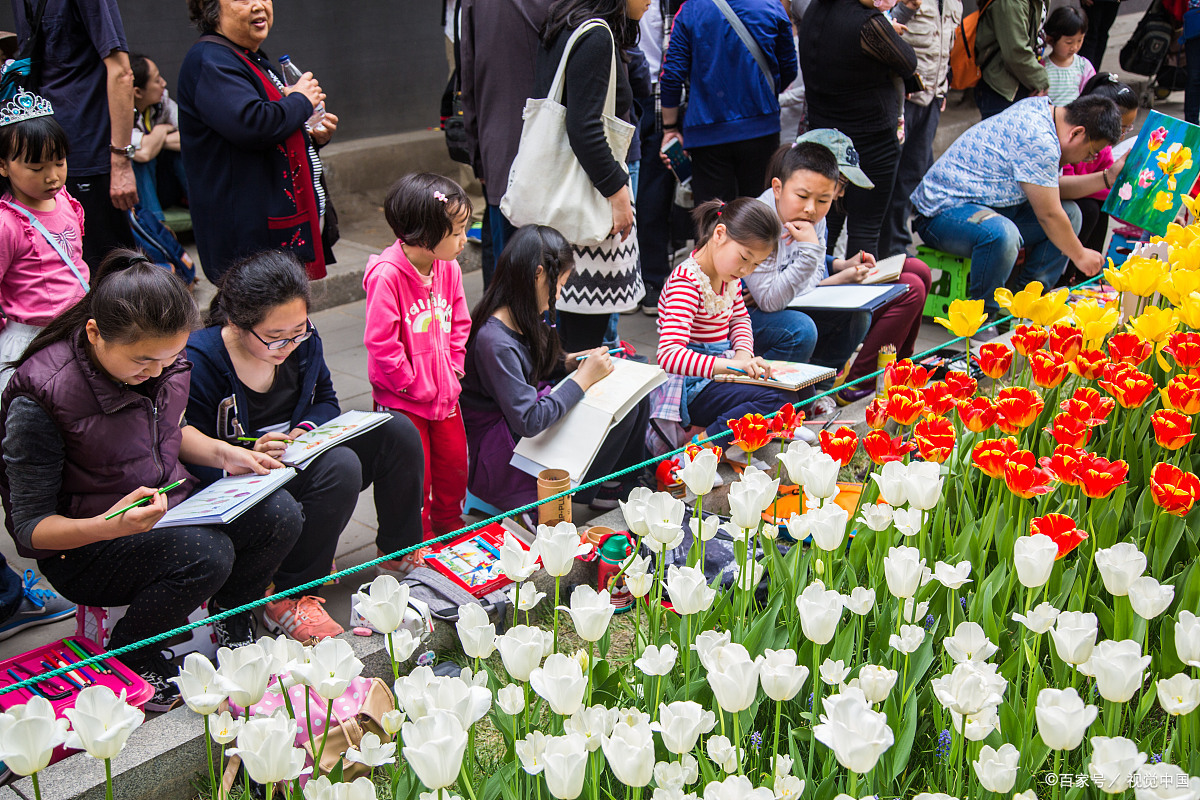各地植物园的郁金香开花了，曾经的郁金香泡沫经济事件你听过吗_百科TA说