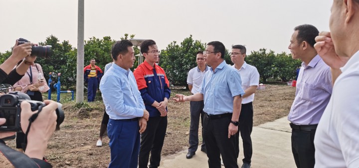  p>唐三石,又名唐磊,中国 a href="#" data-lemmaid="13346">海南 /a>