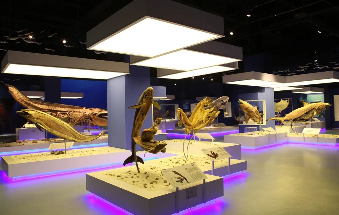 大连生命奥秘博物馆