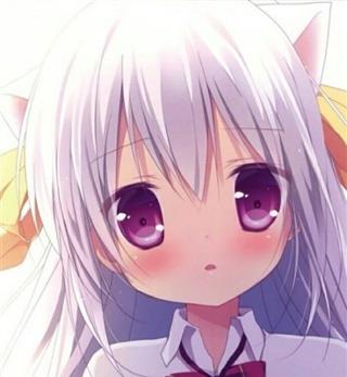 猫娘降临到我身边