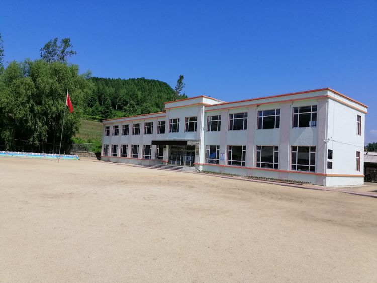 桦甸新发河超度-桦尺蛾进化的视频