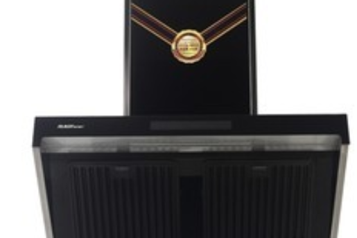  p>瑞贝格尔cxw-288-g21是一款抽油烟机. /p>