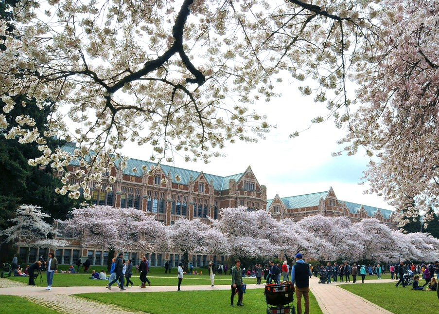 华盛顿樱花园(washington cherry garden):每年春天来临时,美国首都<a