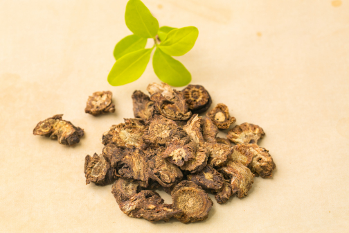 羌活（伞形科羌活属植物）_百度百科