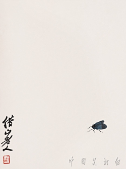 灰蛾