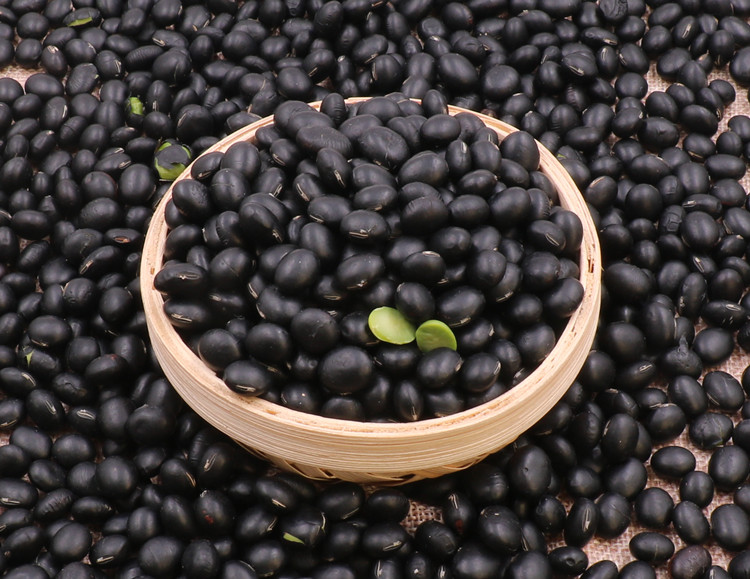 黑豆染色