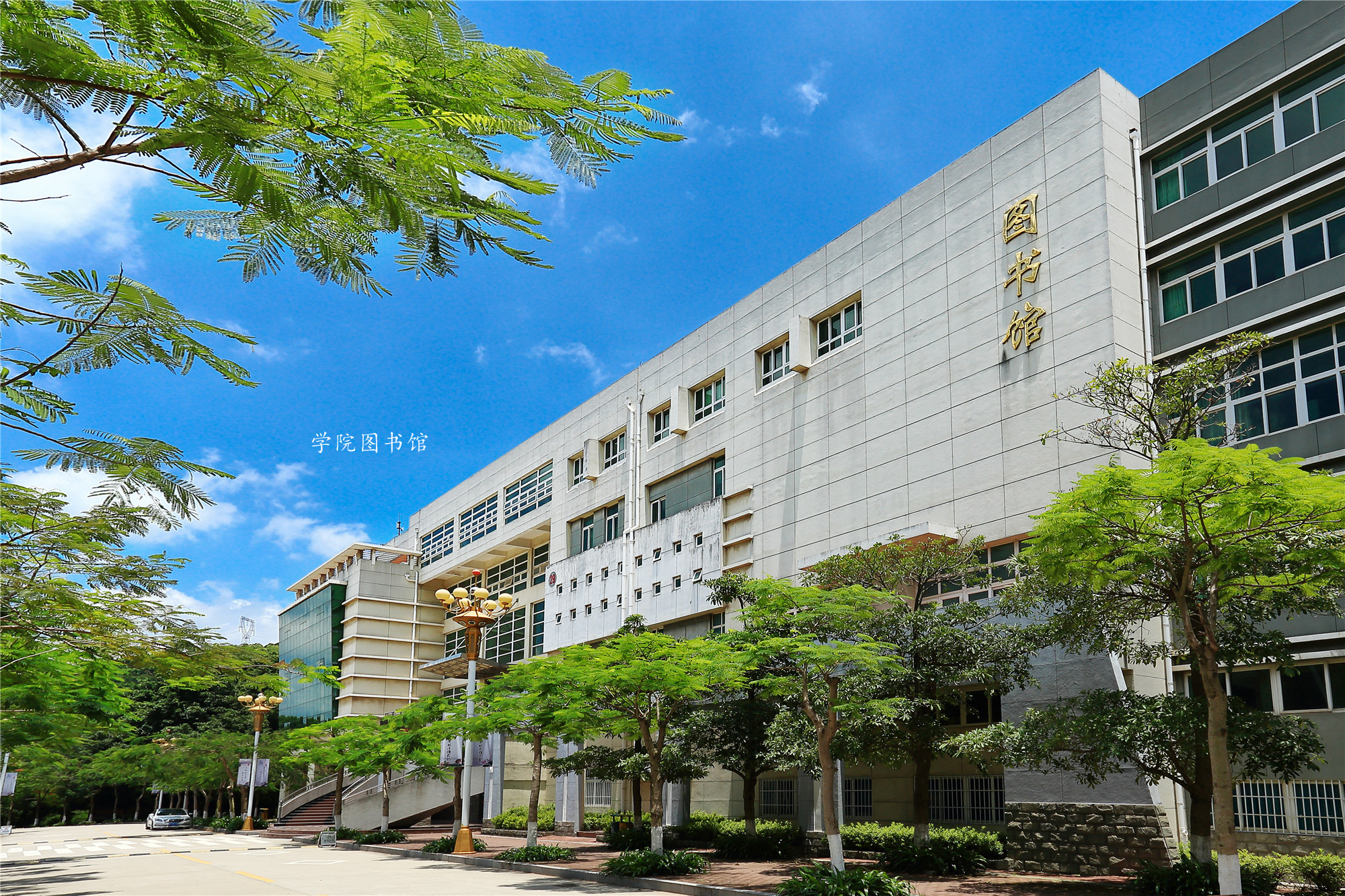  p>湄洲湾职业技术学院是一所公办专科层次全日制工科类高职院校,地处