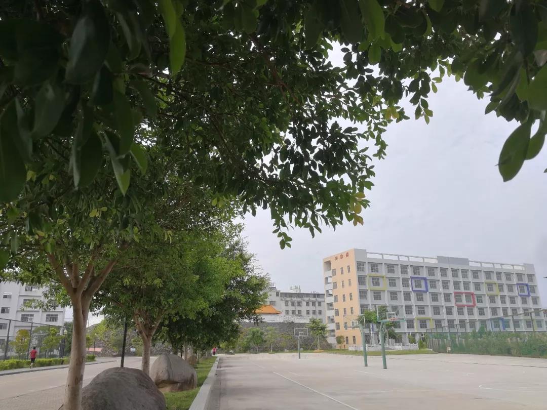 和平县和平中学