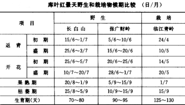 是景天科,红景天属多年生草本植物.