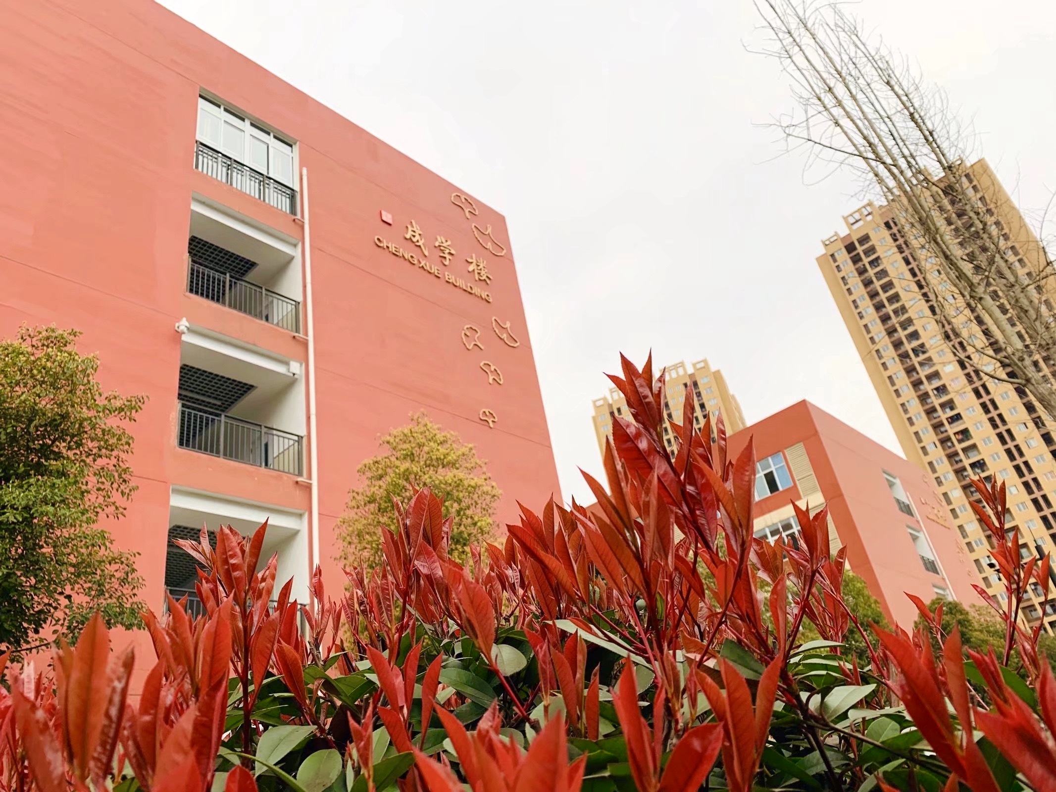 重庆市沙坪坝区学府悦园第一小学校