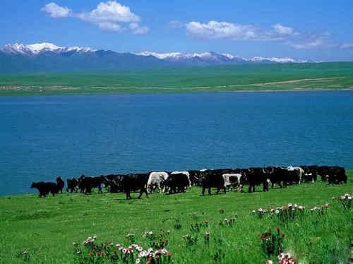 data-lemmaid="481601">祁连山 /a>的平均山脉海拔在4000米～5000米