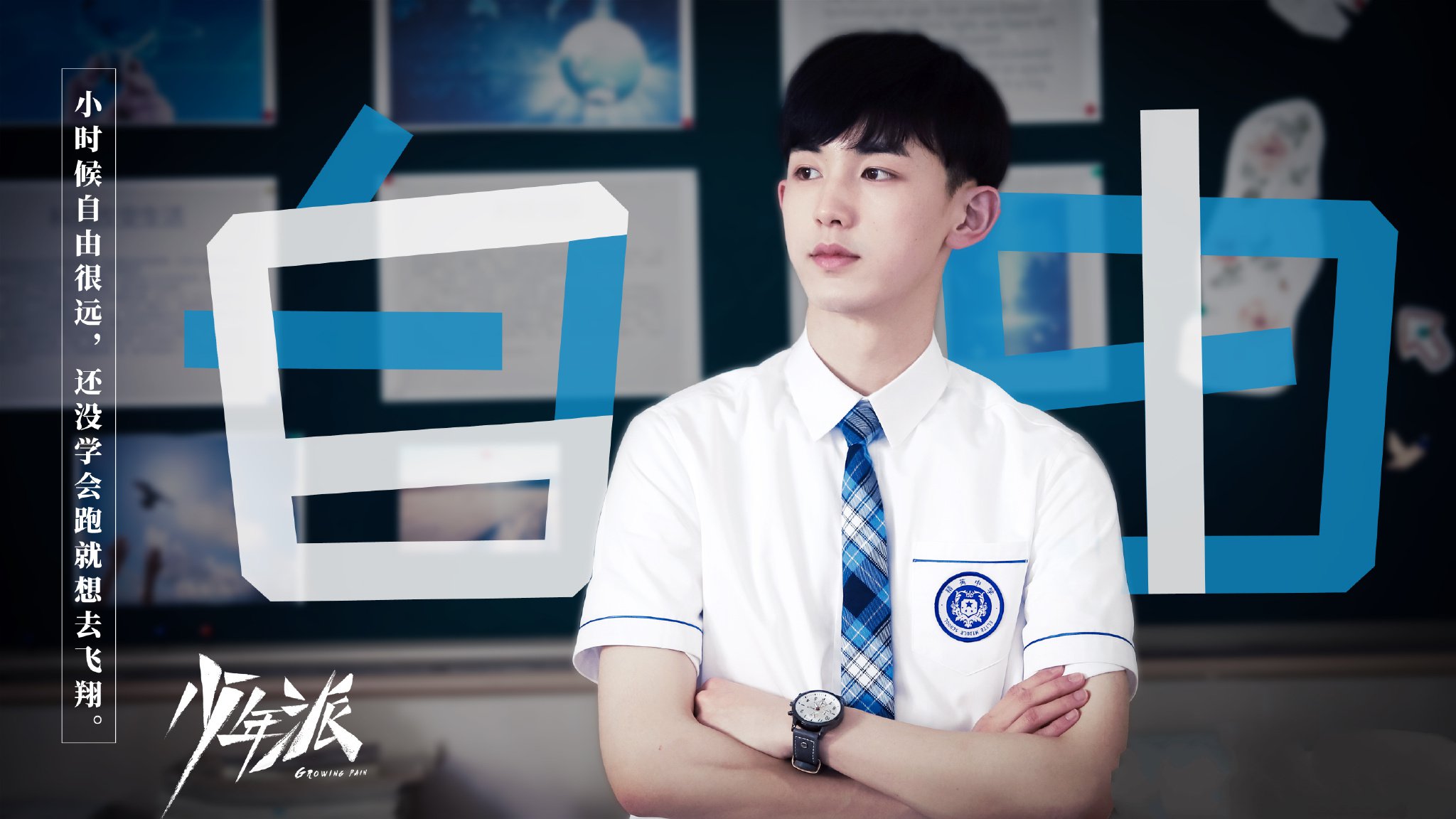 少年派