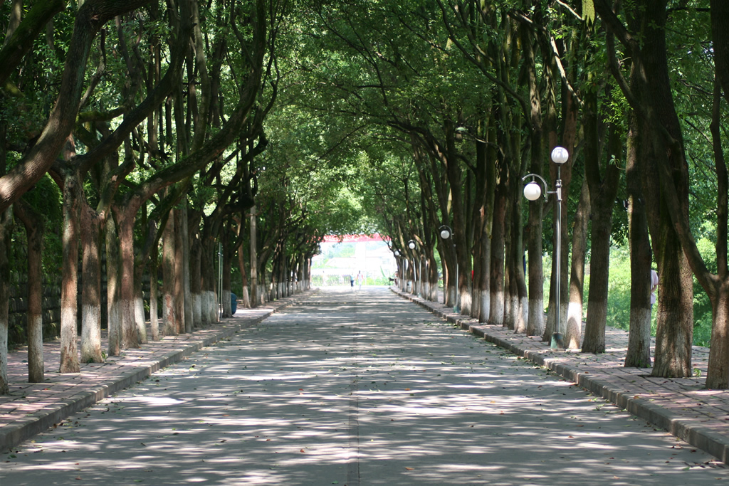 重庆文理学院