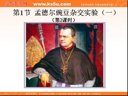 孟德尔