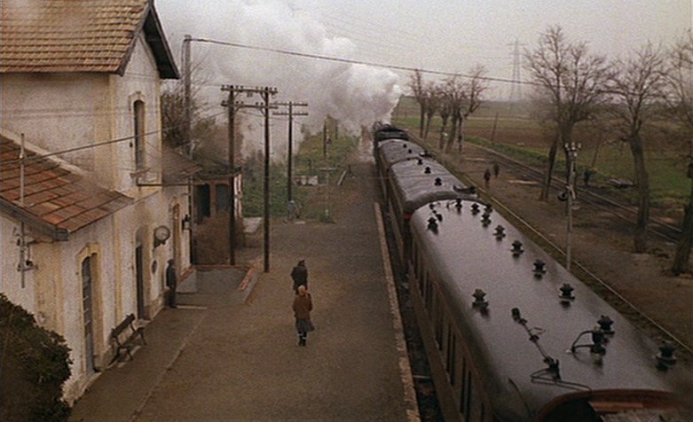 蜂巢的幽灵elespiritudelacolmena(1973)