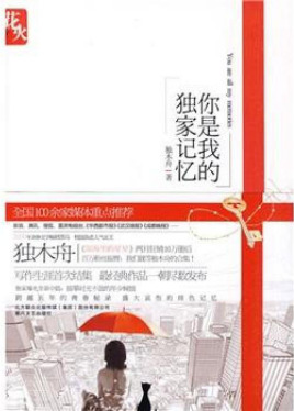 你是我的独家记忆