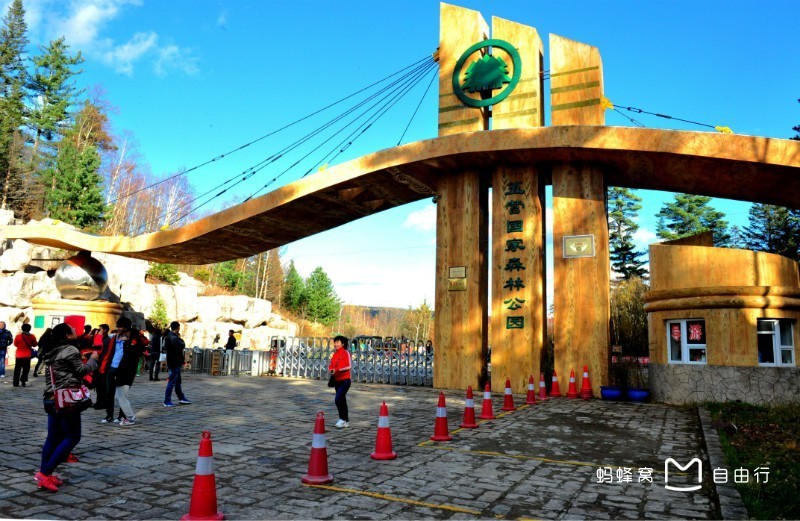 黑龙江省 /a>伊春市 a target="_blank" href="/item/五营区/5067866"